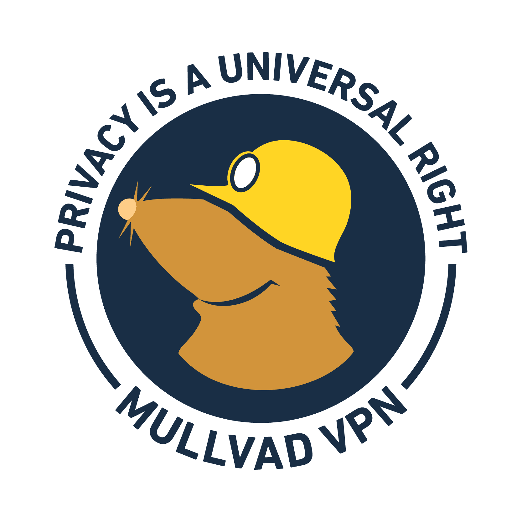 Mullvad warns age verification mandates threaten privacy, not just social media