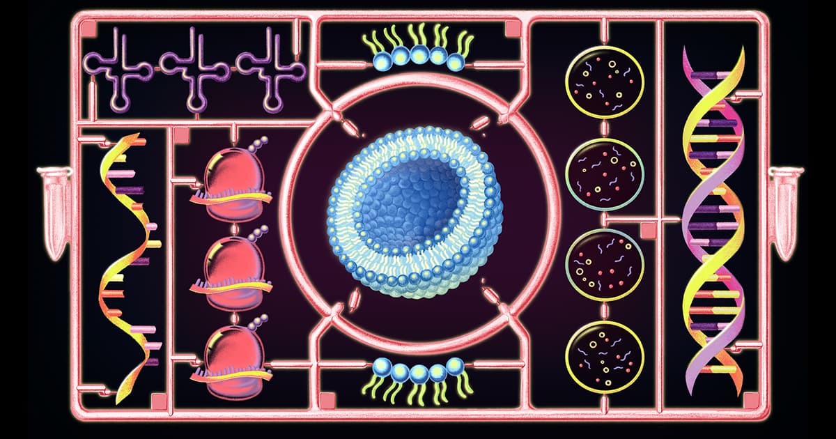 Synthetic cell built from scratch achieves growth and division
